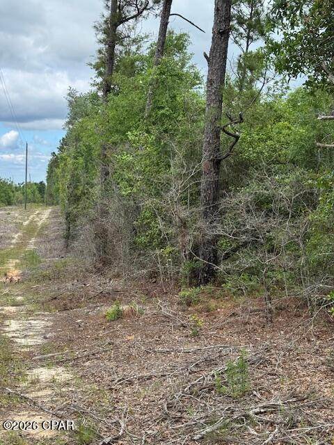 TBD Pilgrim Rest Church Road - Photo 1