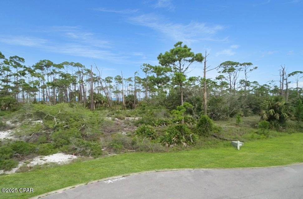 https://bt-photos.global.ssl.fastly.net/panamacity/orig_boomver_2_782860-2.jpg