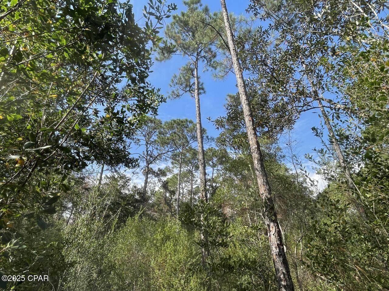 https://bt-photos.global.ssl.fastly.net/panamacity/orig_boomver_2_784919-2.jpg
