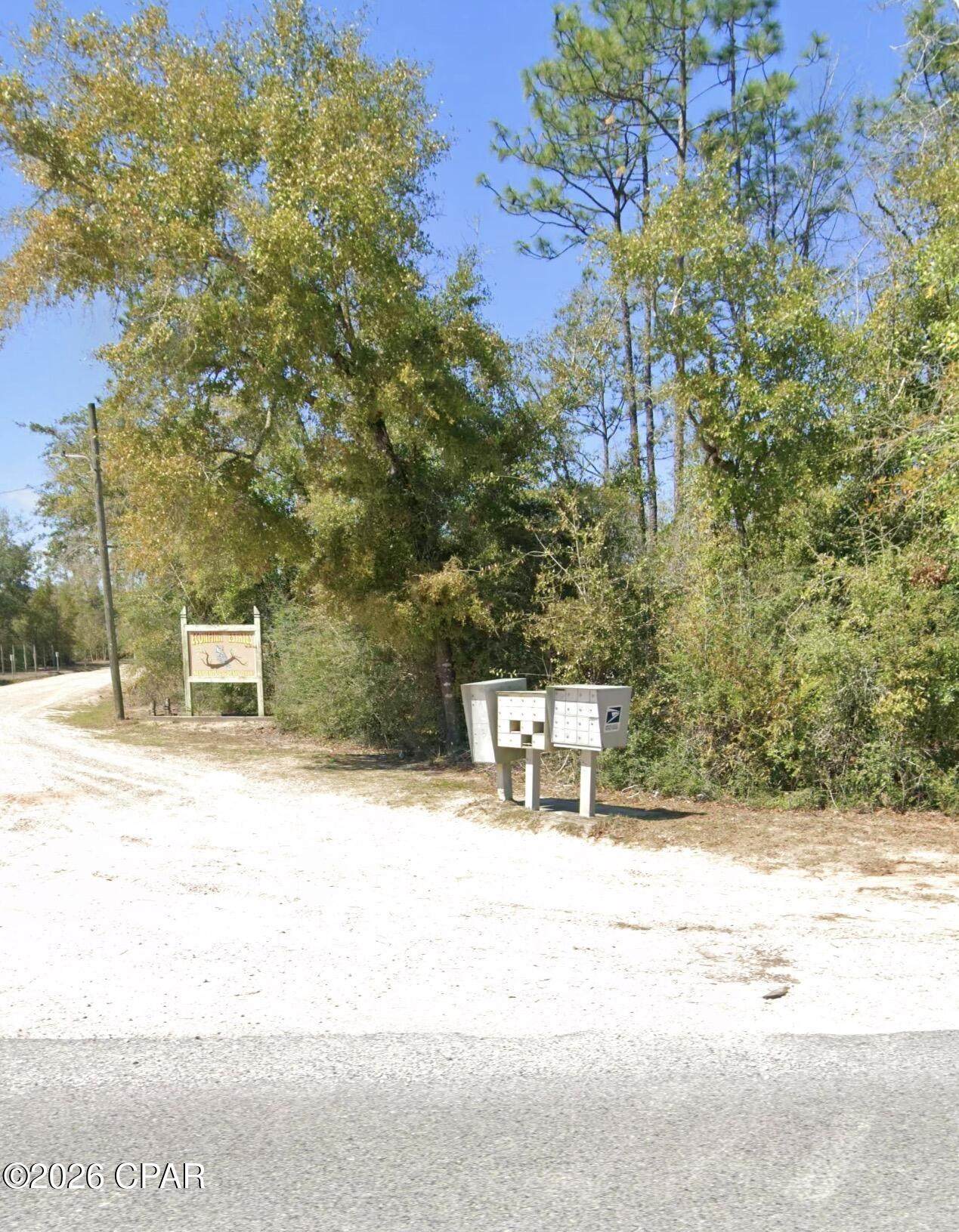 TBD Blue Springs Road - Photo 1