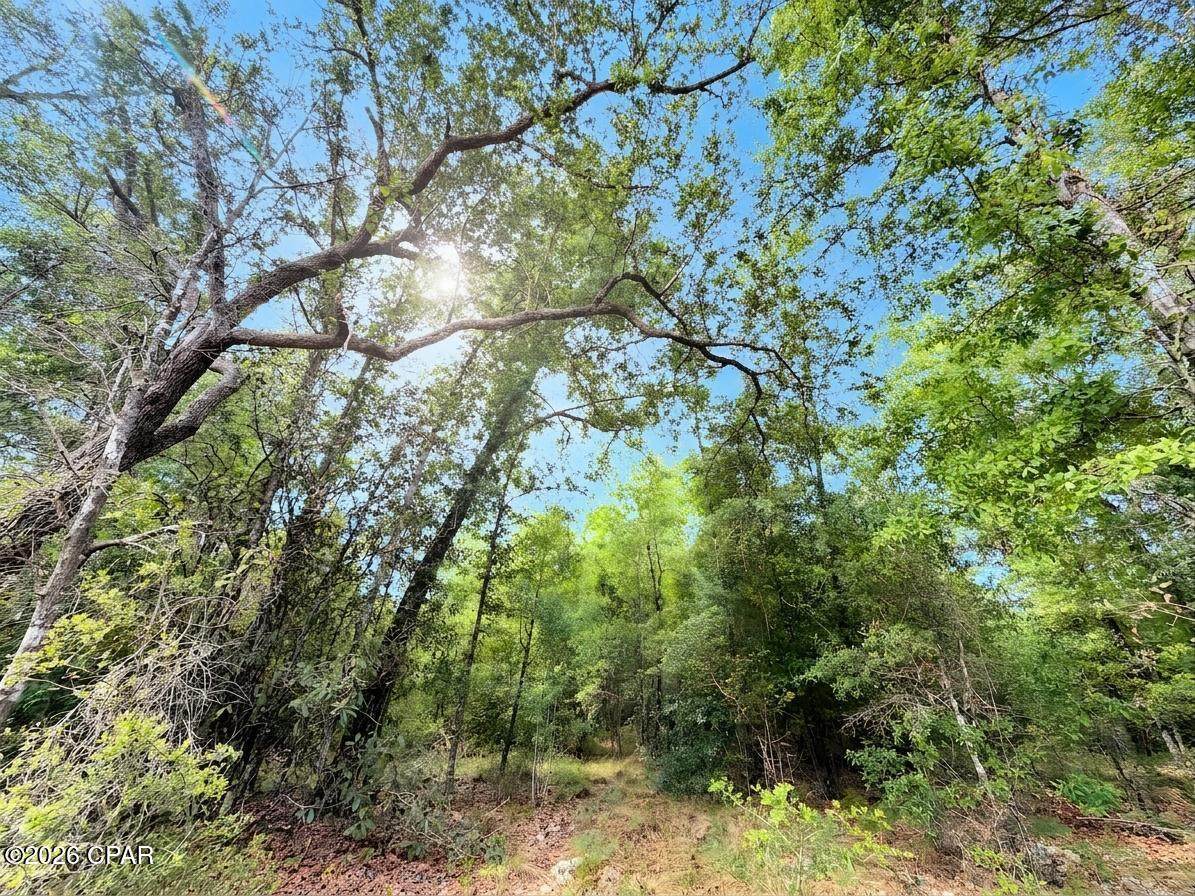 https://bt-photos.global.ssl.fastly.net/panamacity/orig_boomver_2_789172-2.jpg