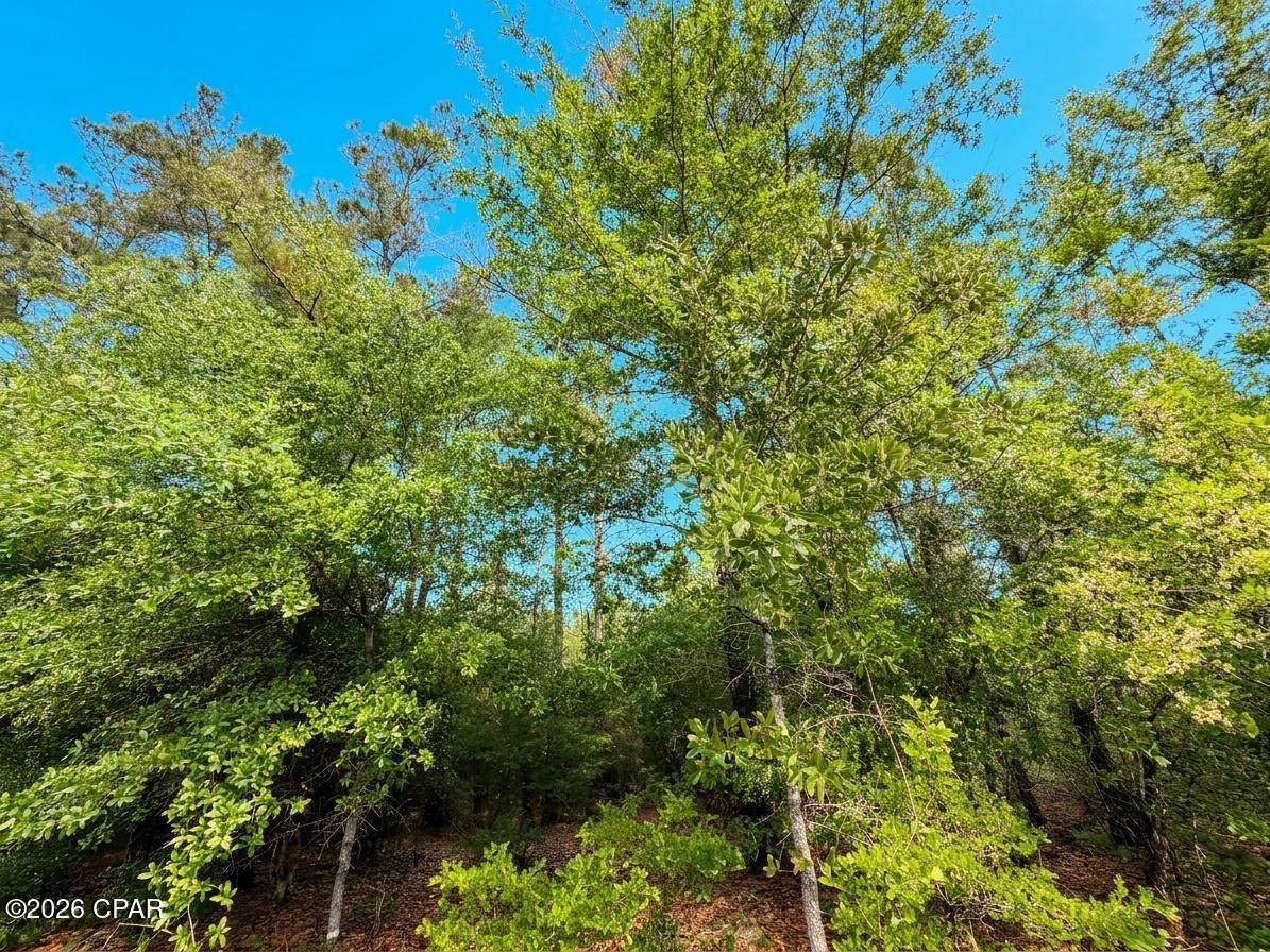 https://bt-photos.global.ssl.fastly.net/panamacity/orig_boomver_2_789172-2.jpg