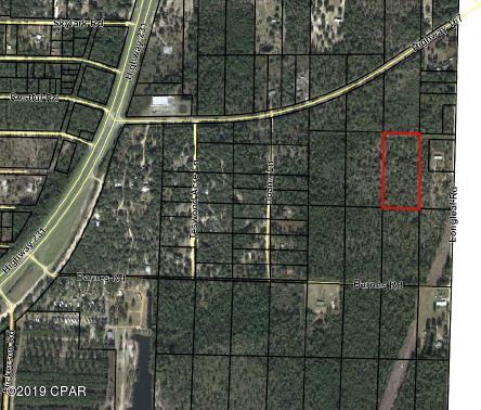 0000 Hwy 167/ Longleaf Road - Photo 1