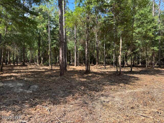 0000 Derby Drive - Photo 1