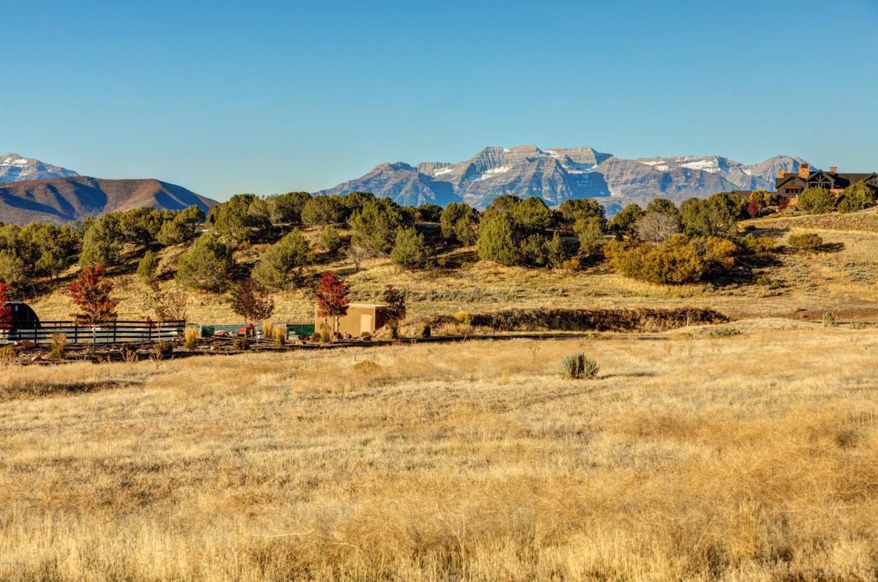 3330 Horseshoe Canyon Cir (Lot 155) - Photo 1