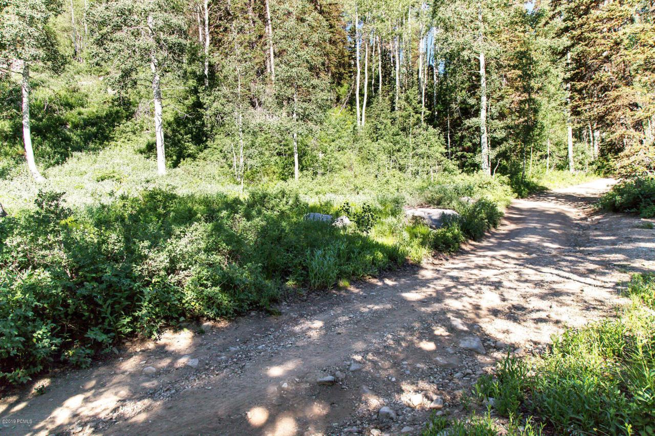 2506 Spruce Road - Photo 1