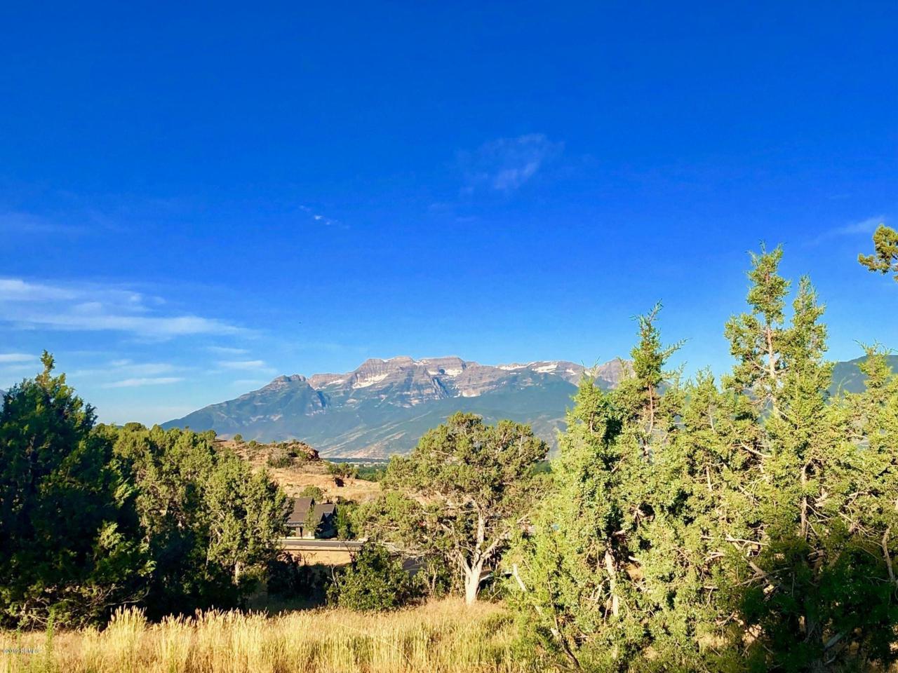 672 Bald Mountain Cir (Lot 271) - Photo 1