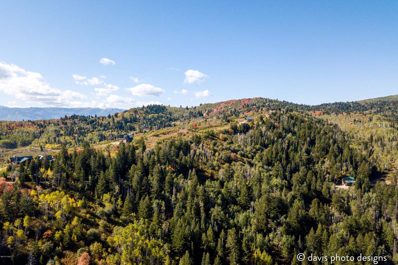 483 Porcupine Loop - Photo 1