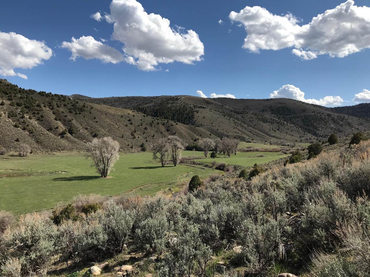 6080 Lost Creek Road - Photo 1