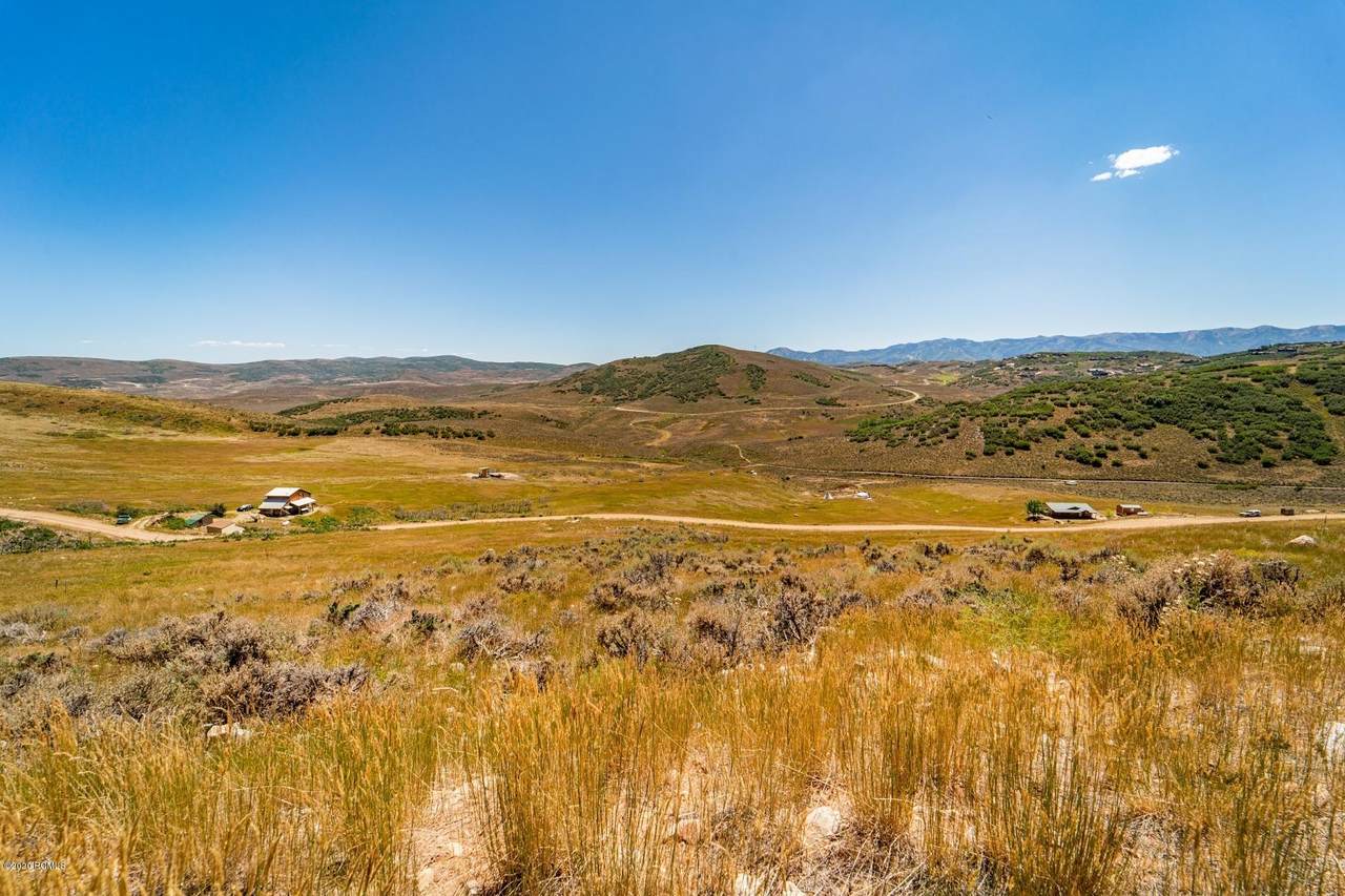 262 Sage - Photo 1