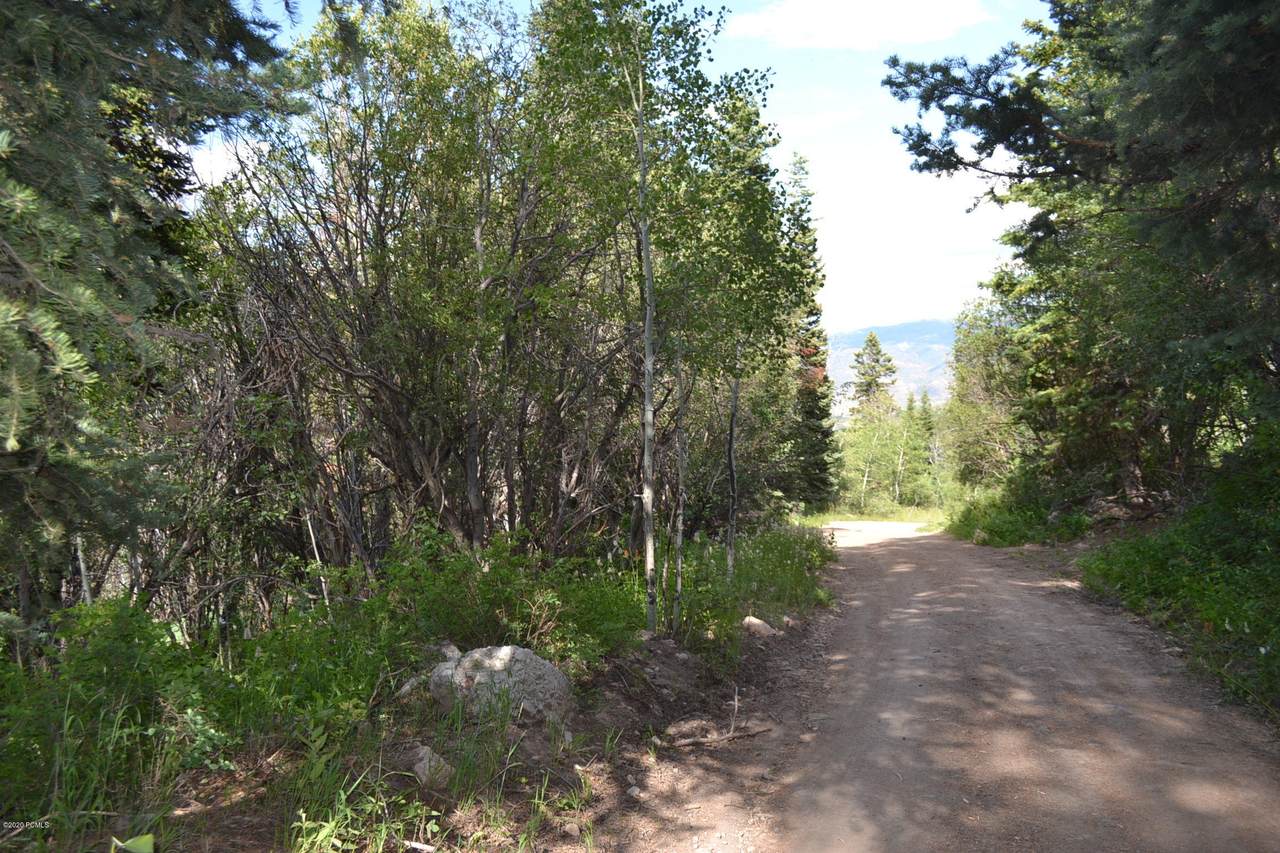 741 Forgotten Lane - Photo 1