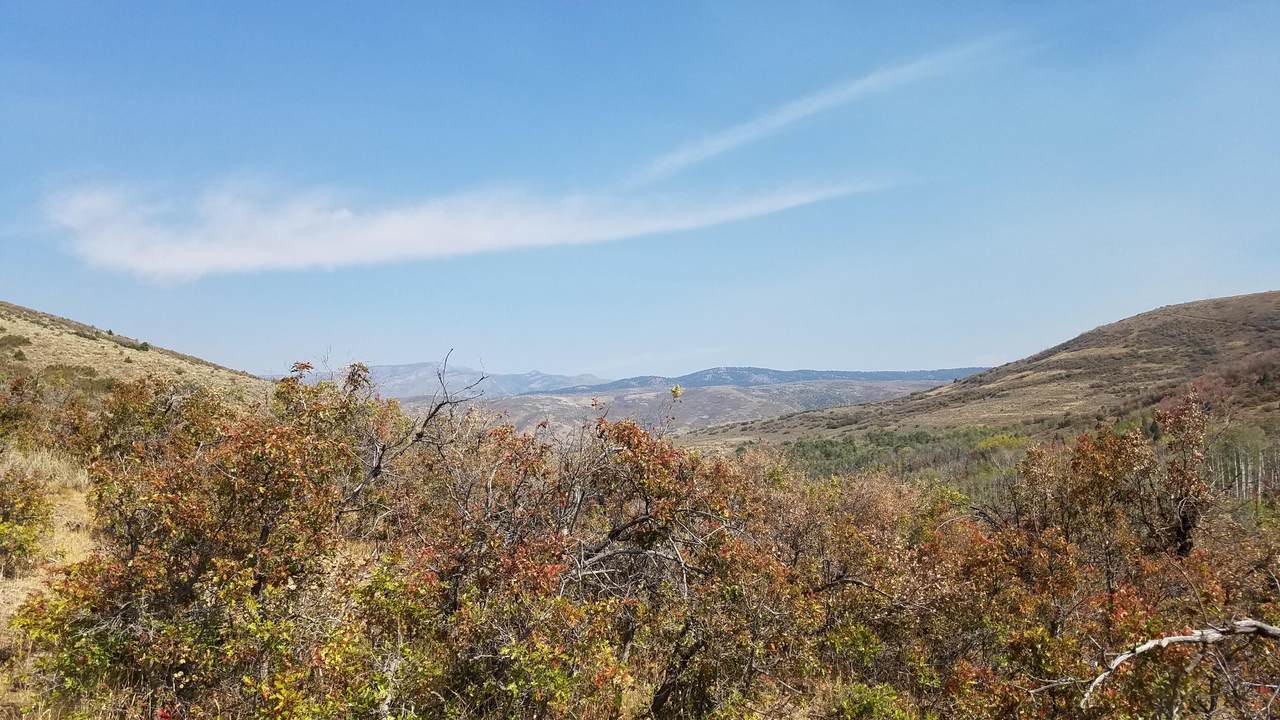 2060 Bridge Hollow Road - Photo 1