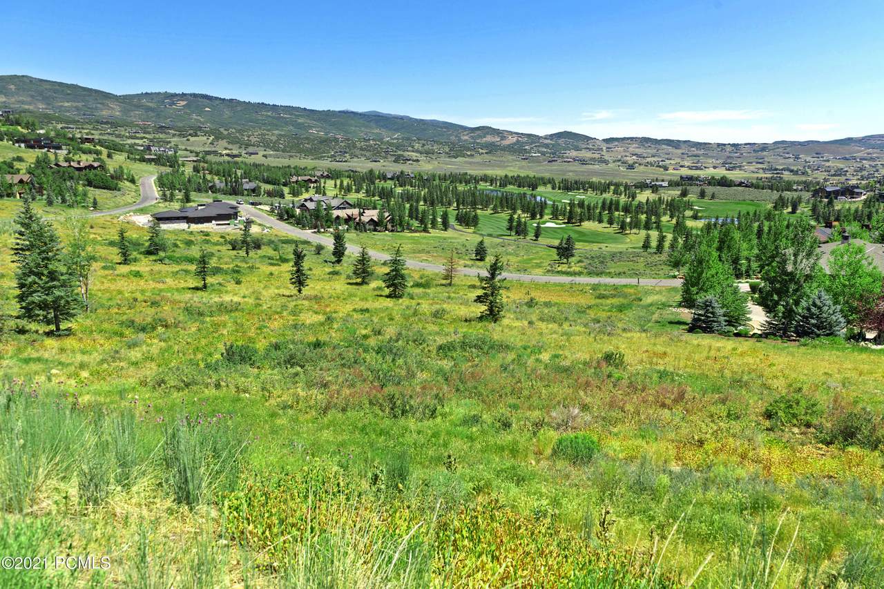 7153 Lupine Drive - Photo 1