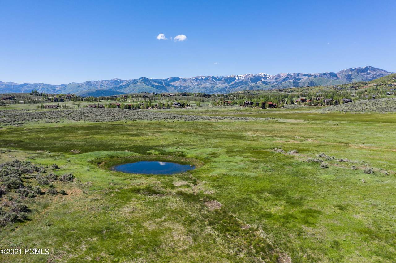 8151 Bitner Ranch Road - Photo 1