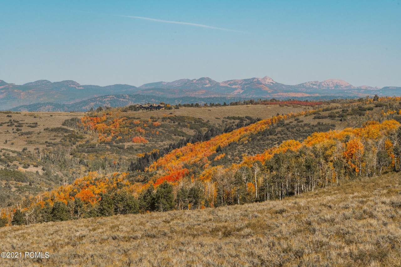 8071 Aspen Ridge Road - Photo 1