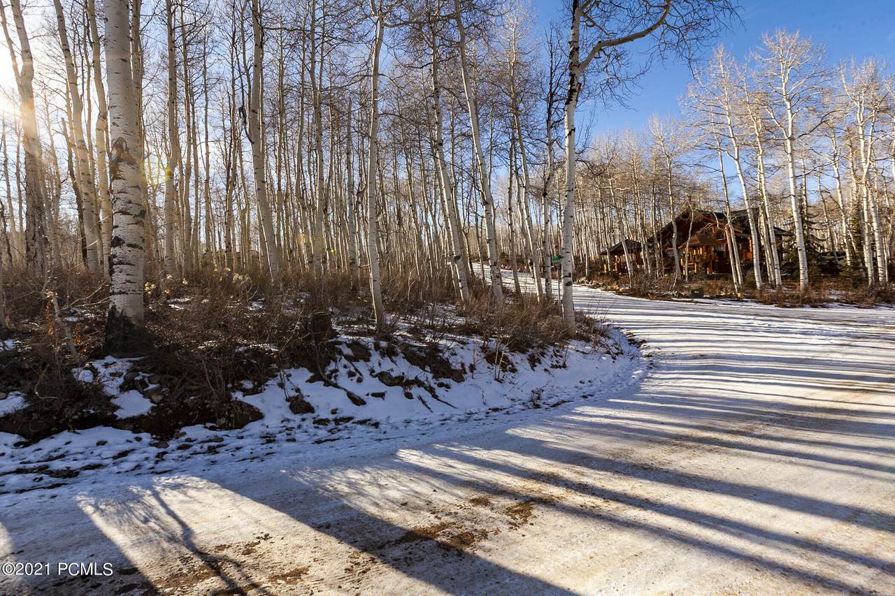 3638 Blazing Star Way - Photo 1