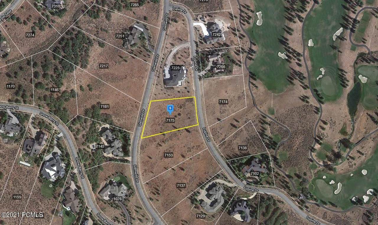 7175 Lupine Drive - Photo 1