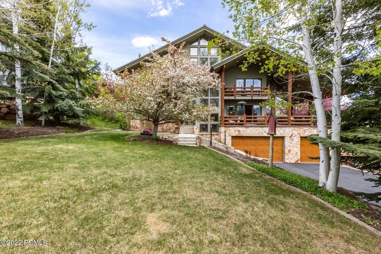 3228 American Saddler Drive - Photo 1