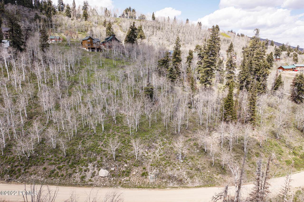 1322 Alexander Canyon Road - Photo 1