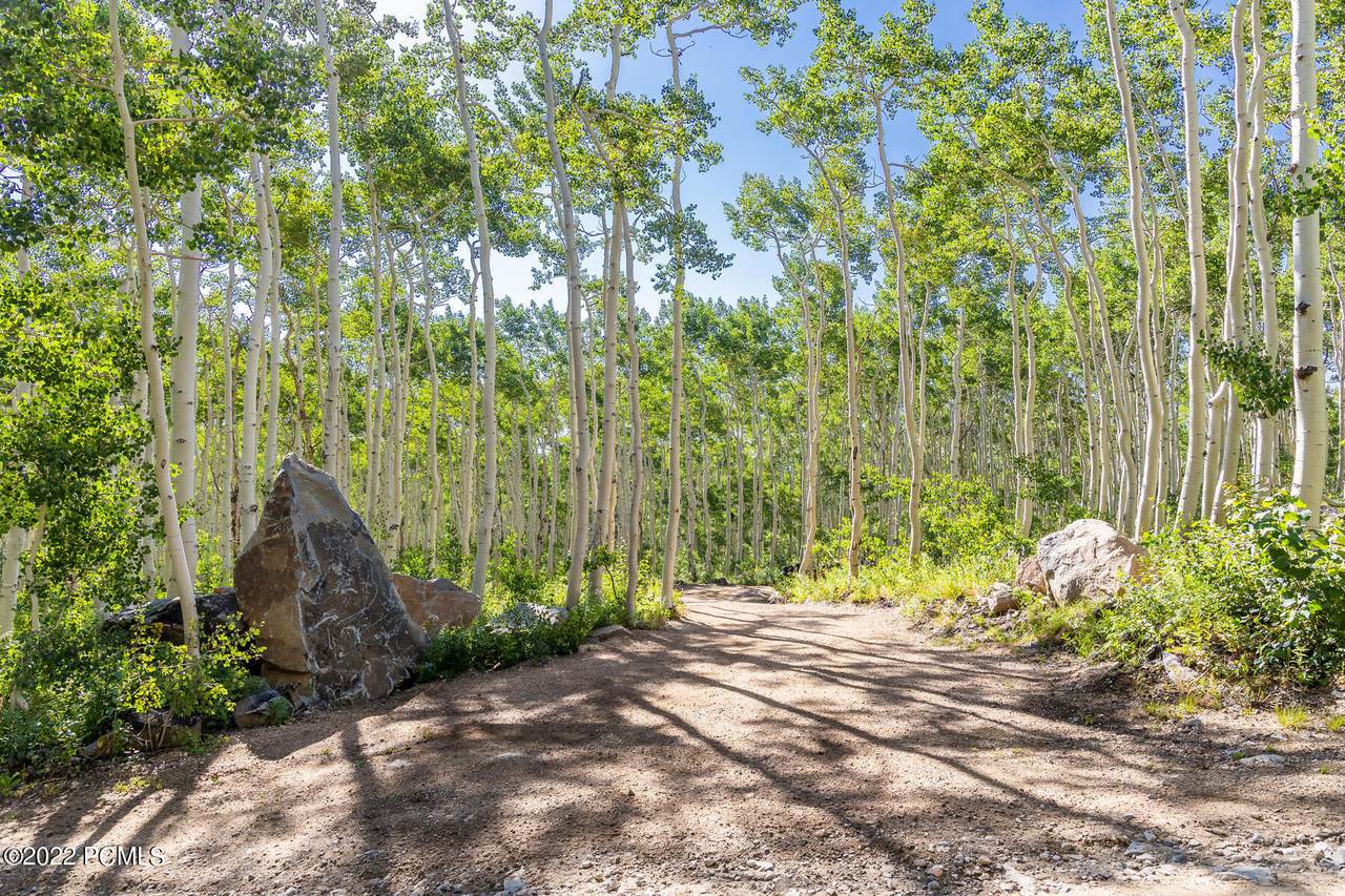 5298 Yarrow Lane - Photo 1