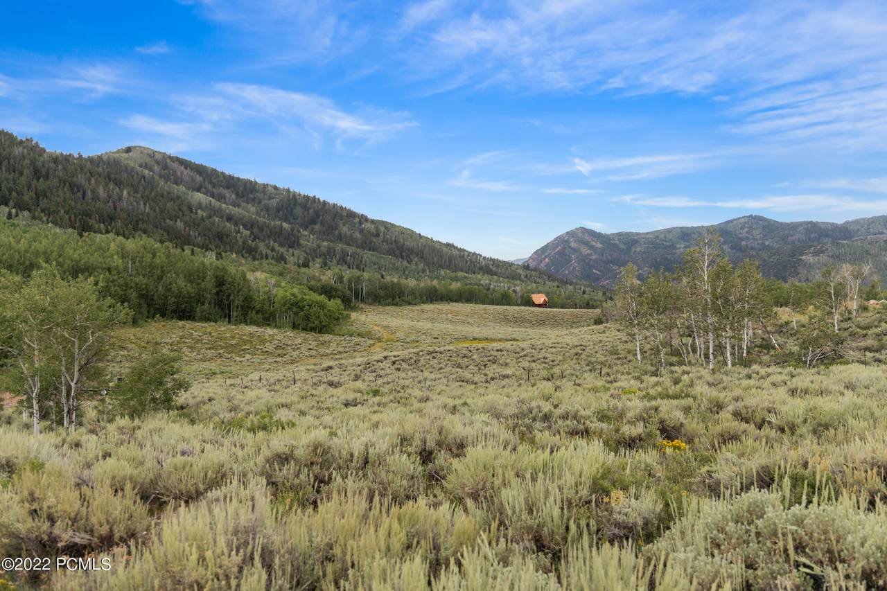 643 Conifer Drive - Photo 1