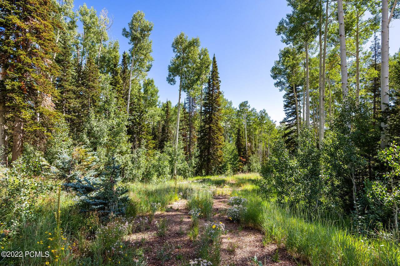 128 White Pine Canyon Road - Photo 1