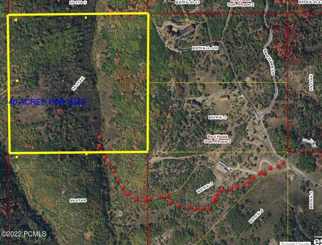 0 Red Hawk Ridge Road - Photo 1