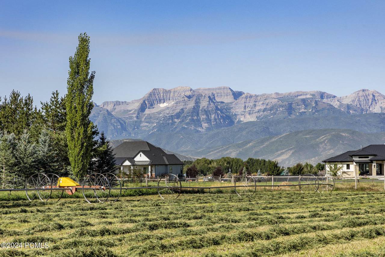 2537 White Buffalo Dr - Photo 1