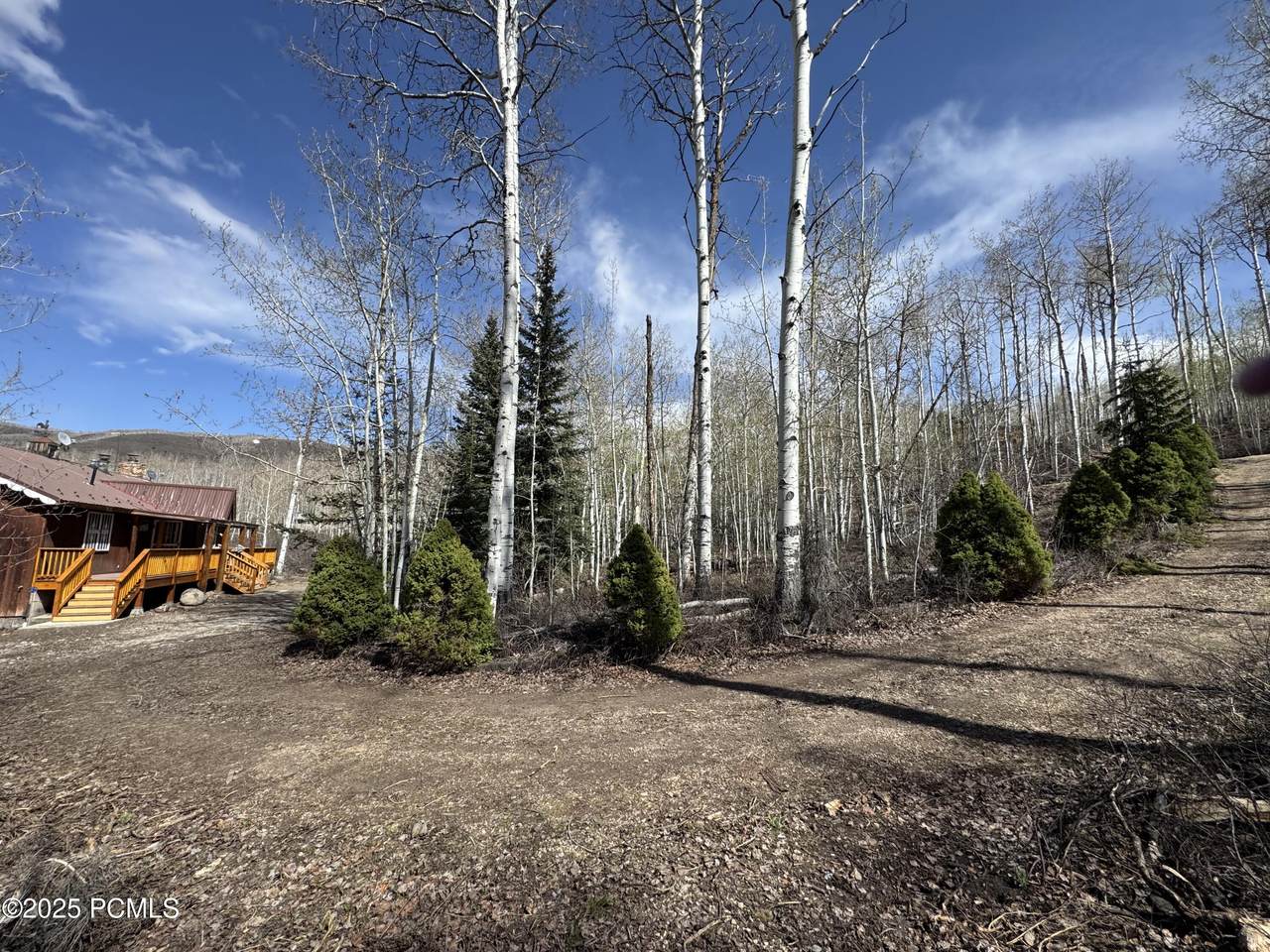 10737 Tanglewood Drive - Photo 1