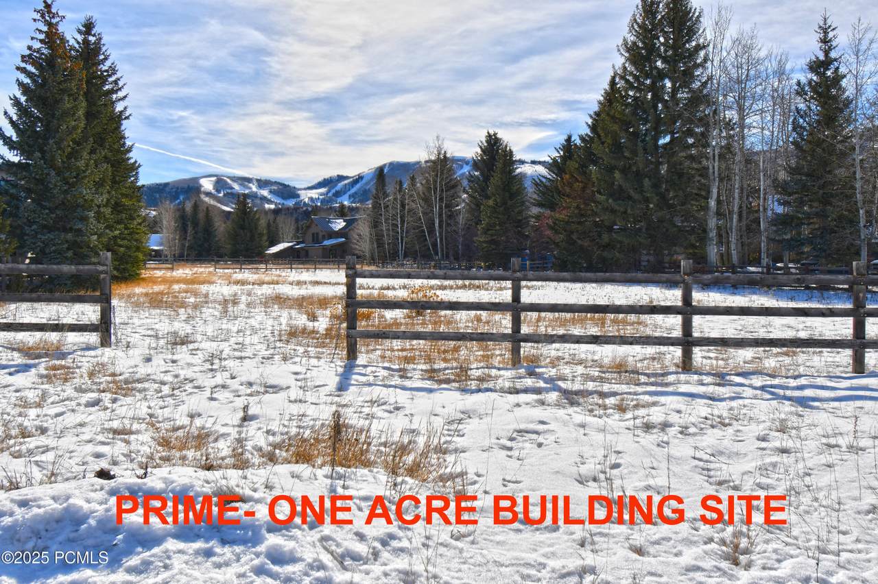 1211 Little Kate Road - Photo 1