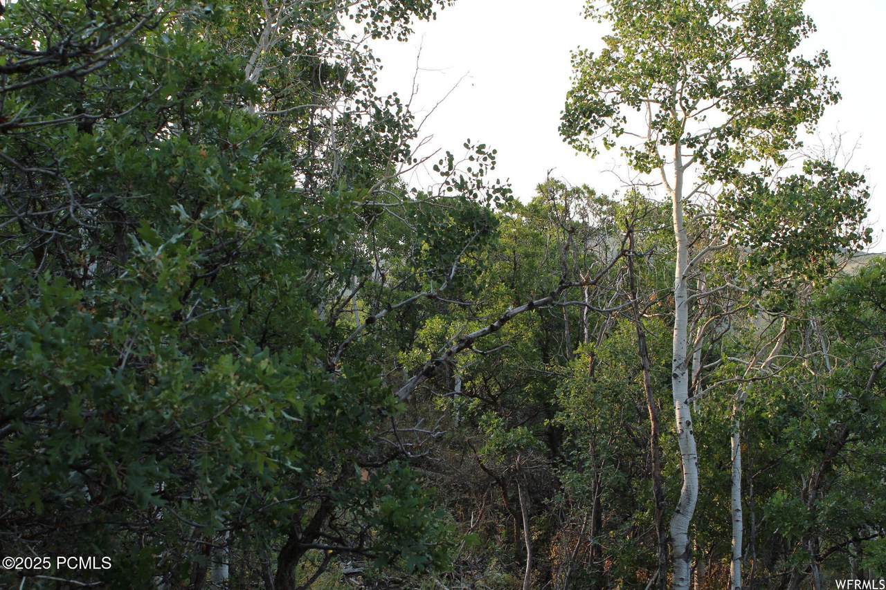 1747 Beaver Bench Road - Photo 1