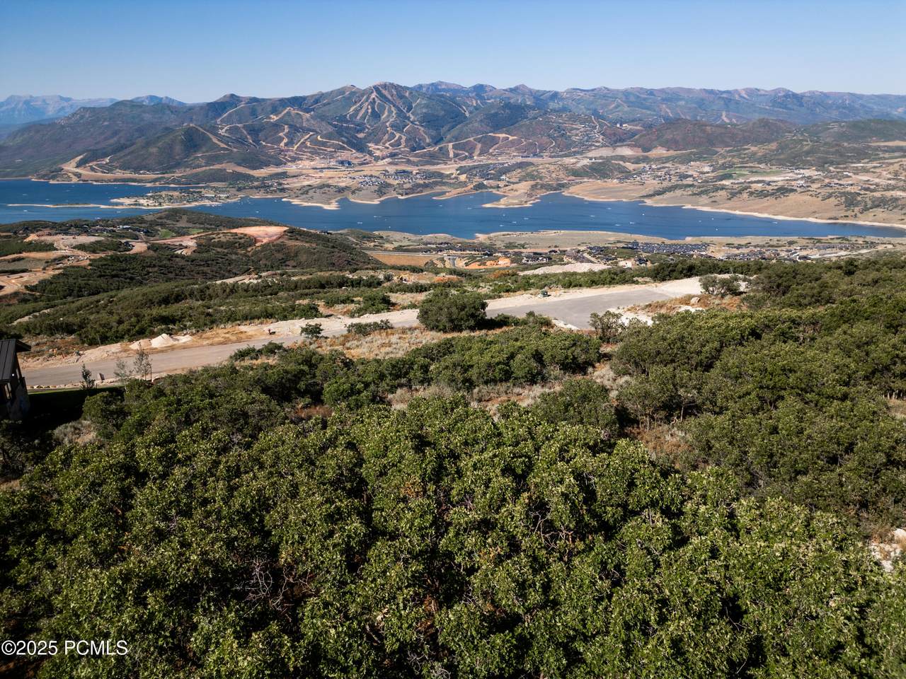 11534 Penstemon Way - Photo 1