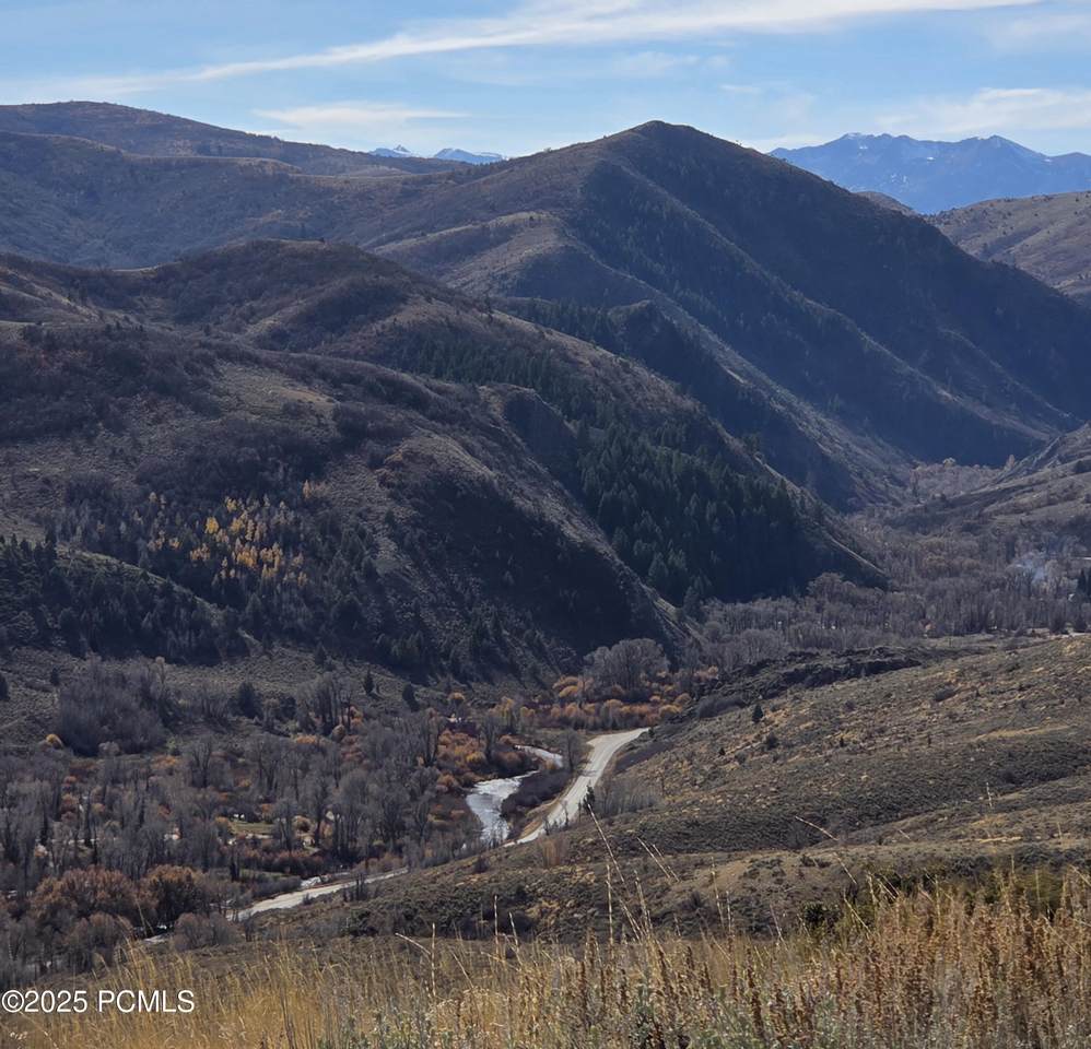 12898 High Pine Circle - Photo 1