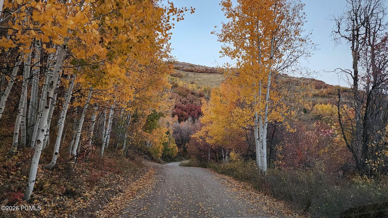 https://bt-photos.global.ssl.fastly.net/parkcity/1280_boomver_1_12600274-2.jpg