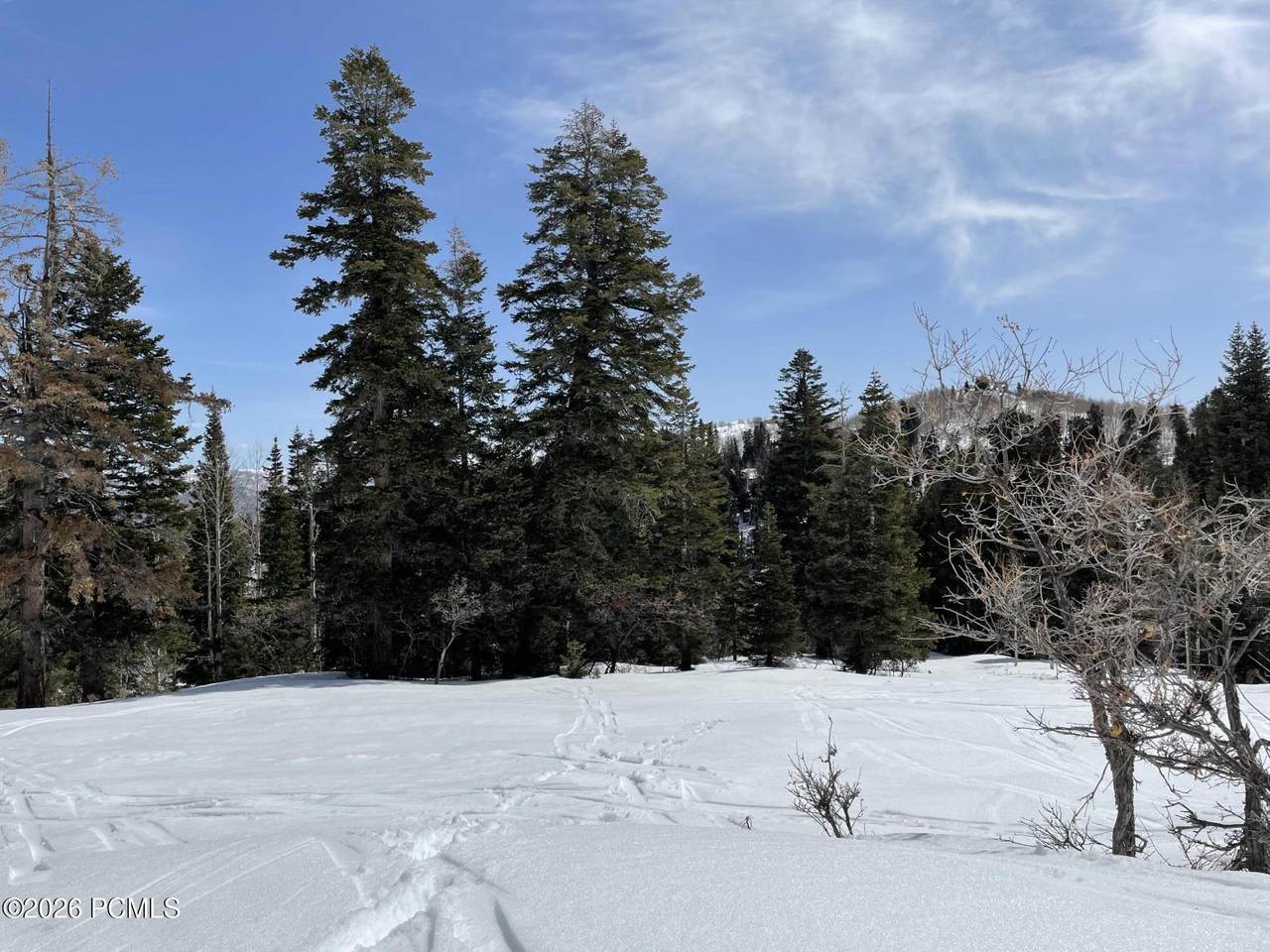 2271 Deer Loop - Photo 1