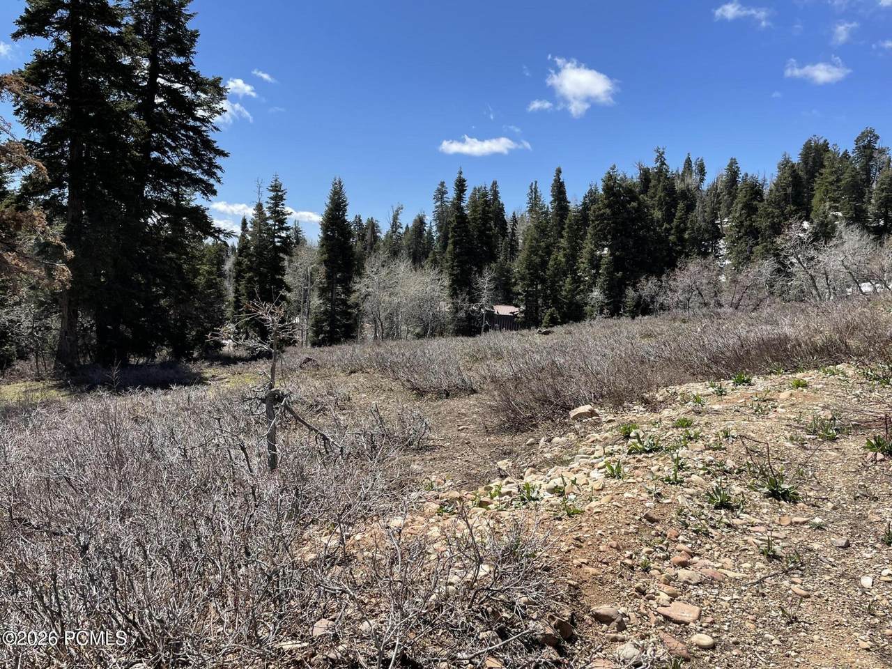 https://bt-photos.global.ssl.fastly.net/parkcity/1280_boomver_1_12600550-2.jpg