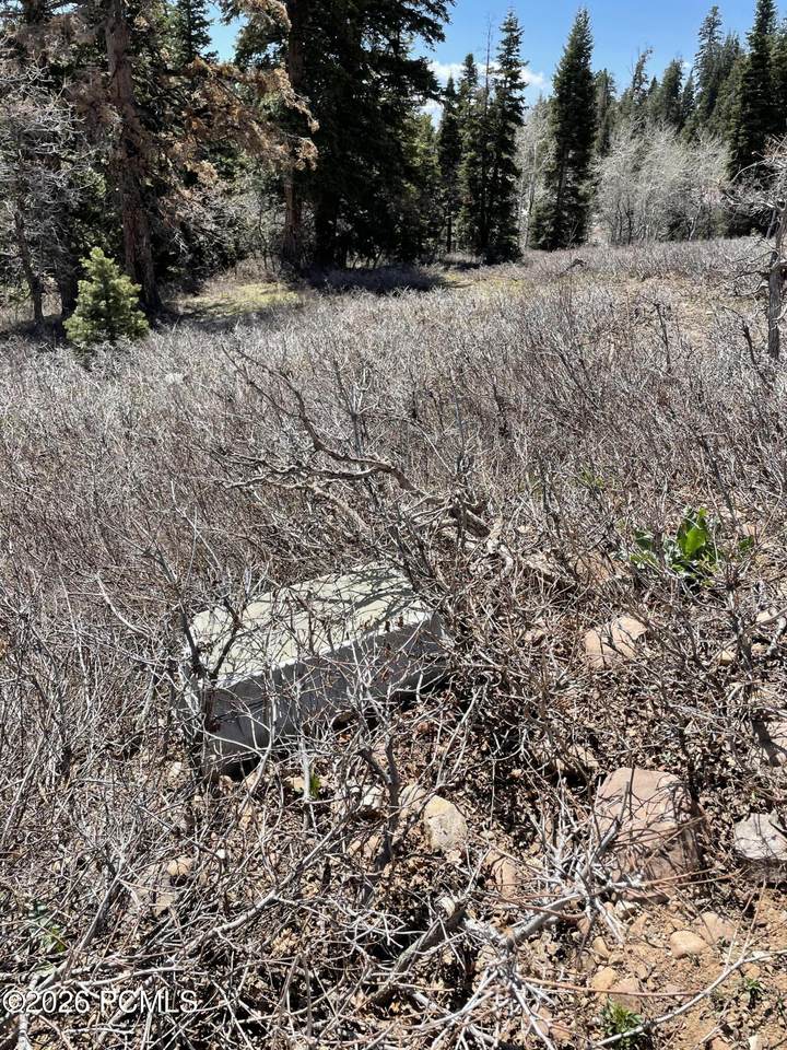https://bt-photos.global.ssl.fastly.net/parkcity/1280_boomver_1_12600550-2.jpg