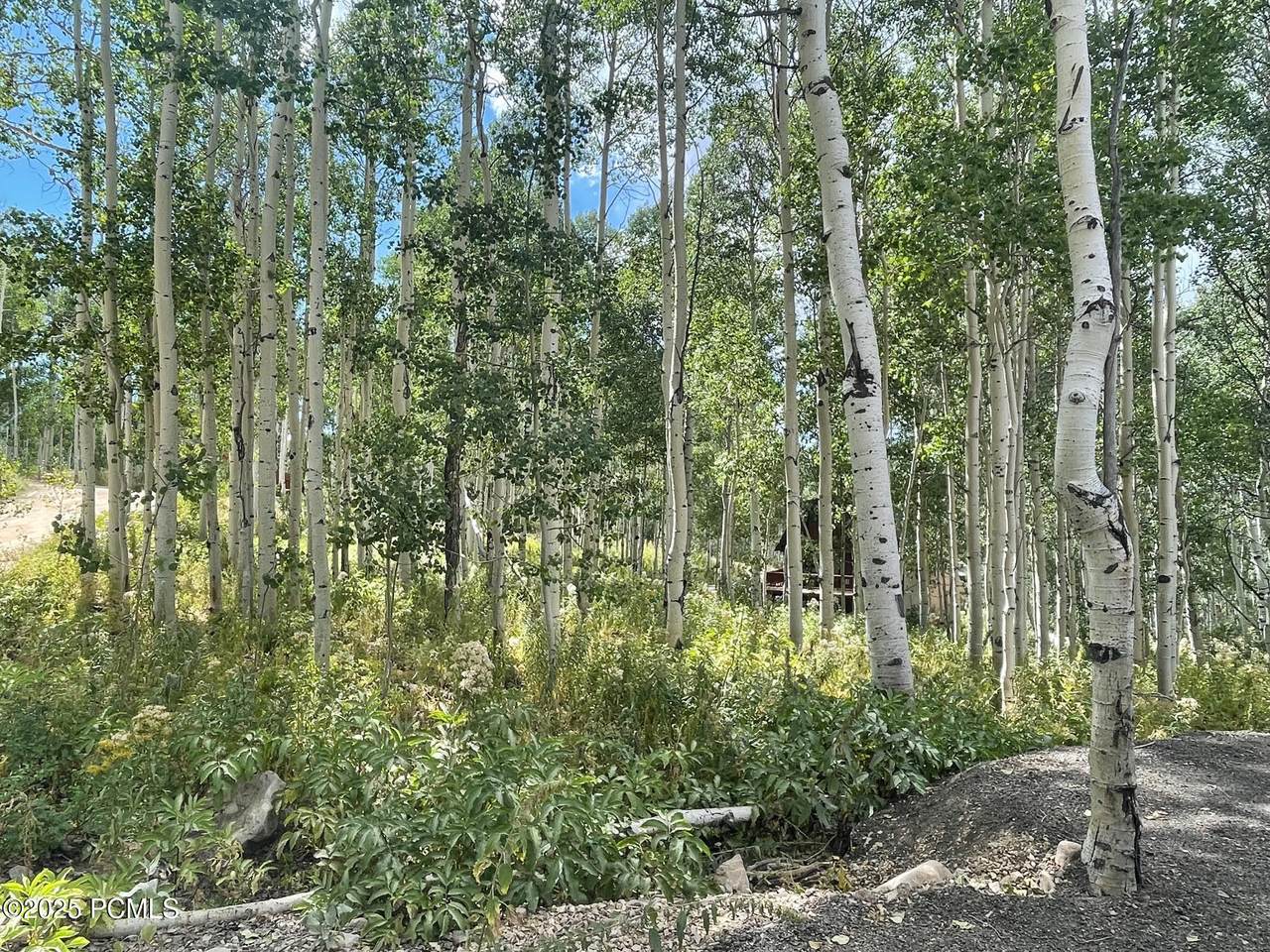 https://bt-photos.global.ssl.fastly.net/parkcity/1280_boomver_1_12601016-2.jpg
