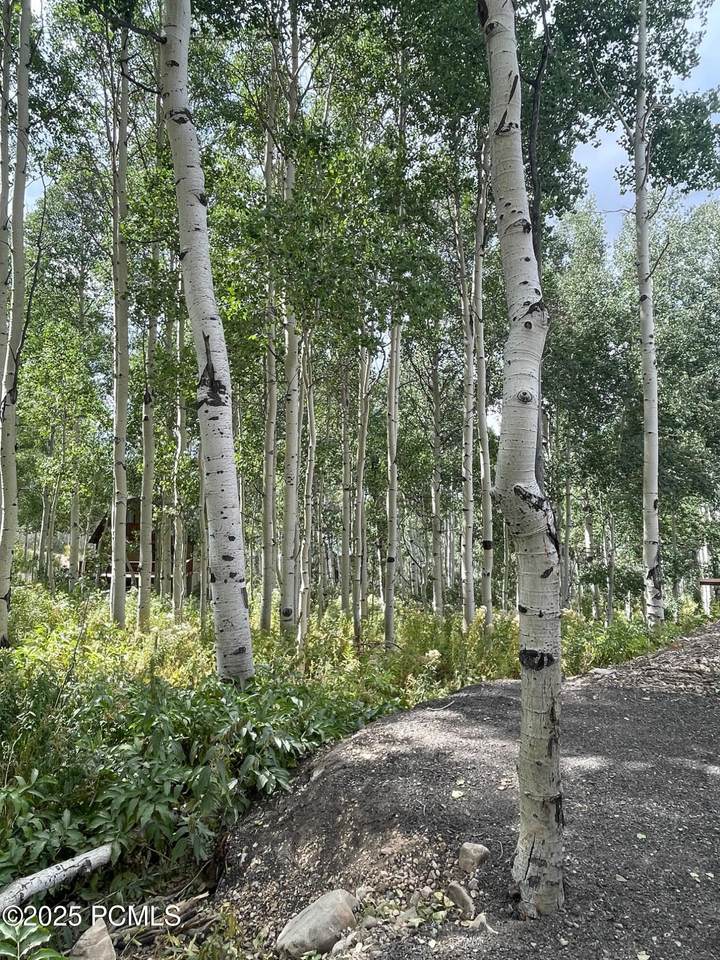 https://bt-photos.global.ssl.fastly.net/parkcity/1280_boomver_1_12601016-2.jpg