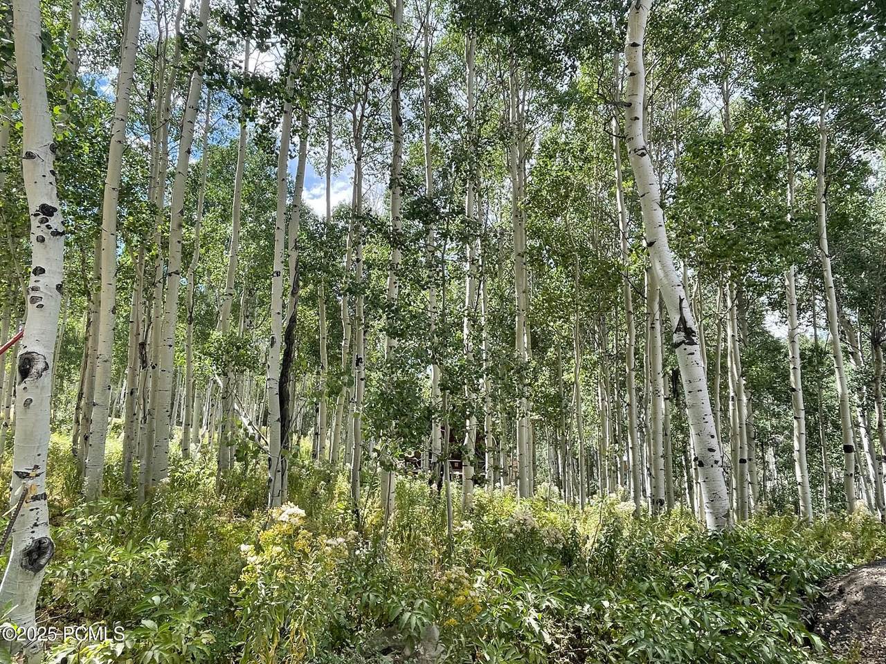https://bt-photos.global.ssl.fastly.net/parkcity/1280_boomver_1_12601016-2.jpg