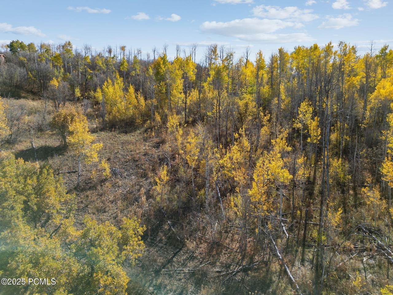 https://bt-photos.global.ssl.fastly.net/parkcity/1280_boomver_1_12601203-2.jpg