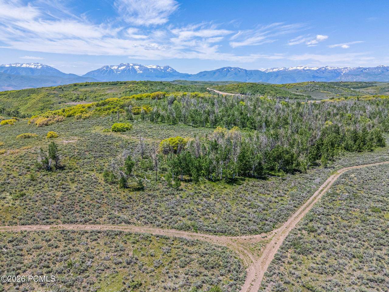 7367 Forest Creek Rd - Photo 1