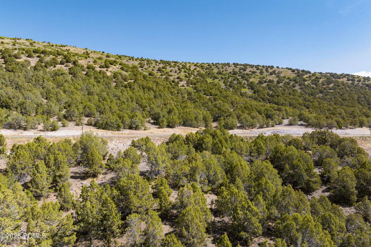 1612 A1 Peak Circle - Photo 1