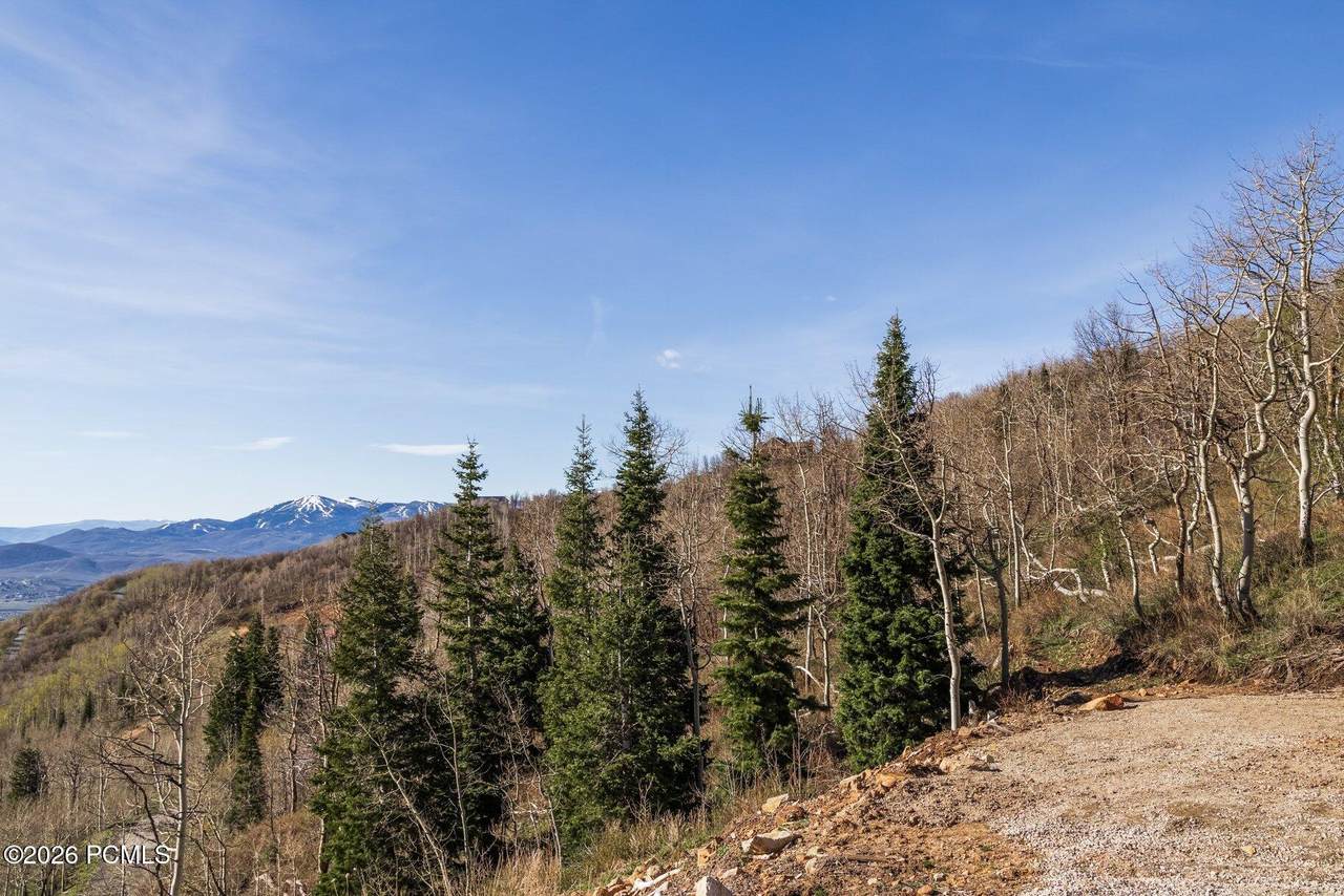 https://bt-photos.global.ssl.fastly.net/parkcity/1280_boomver_1_12601561-2.jpg