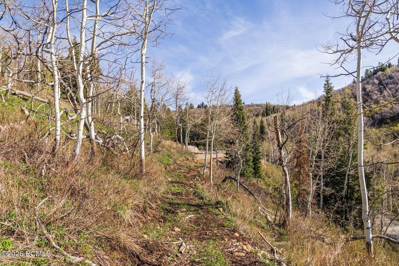 https://bt-photos.global.ssl.fastly.net/parkcity/1280_boomver_1_12601561-2.jpg