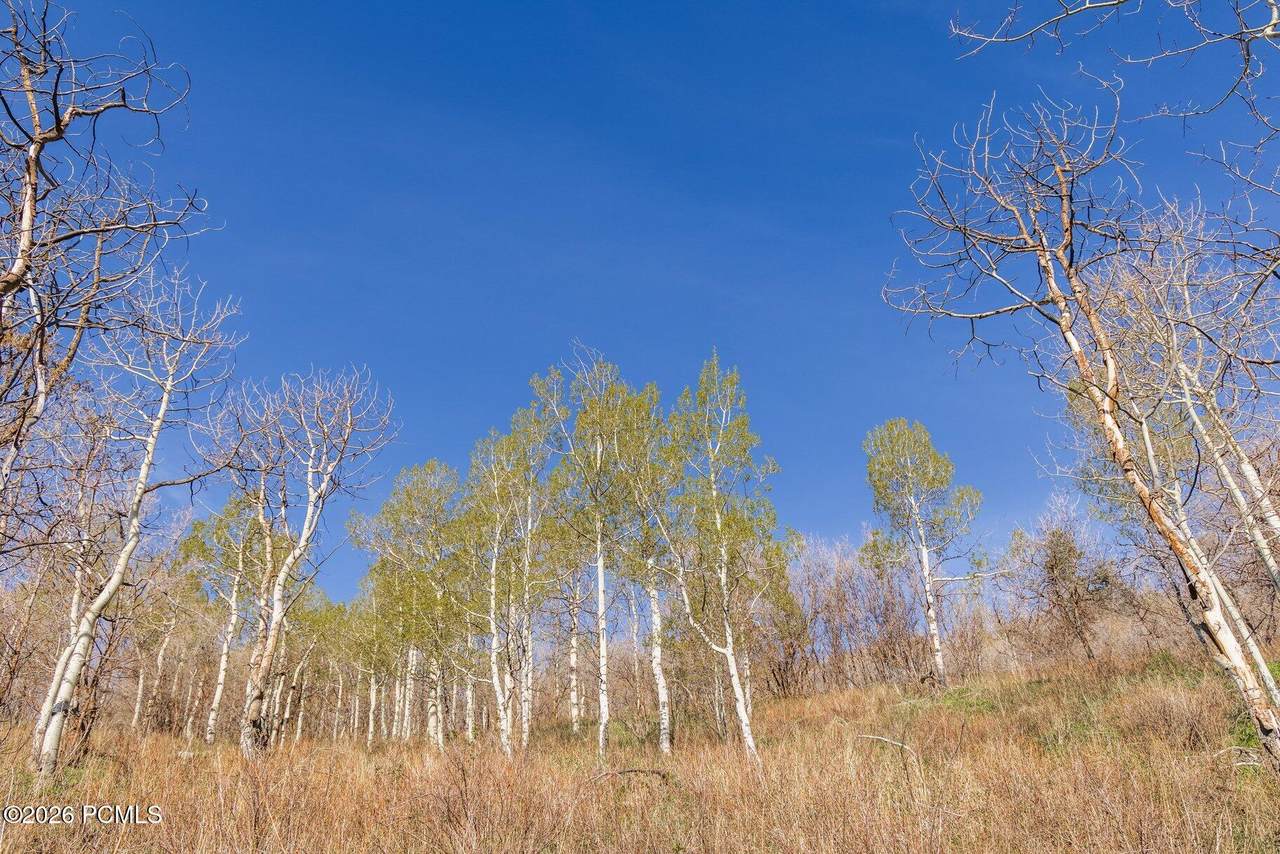 https://bt-photos.global.ssl.fastly.net/parkcity/1280_boomver_1_12601561-2.jpg