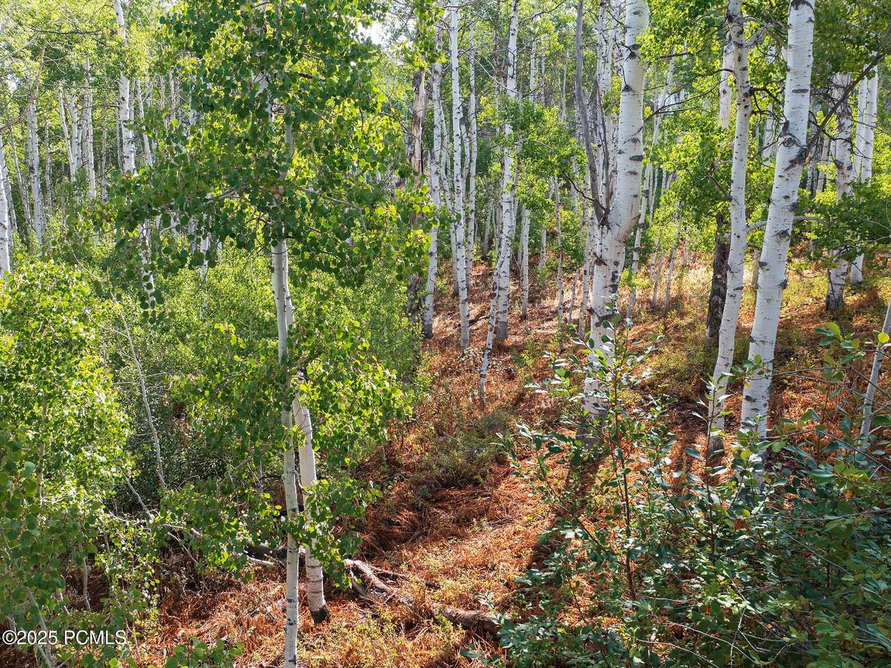 https://bt-photos.global.ssl.fastly.net/parkcity/1280_boomver_1_12601679-2.jpg