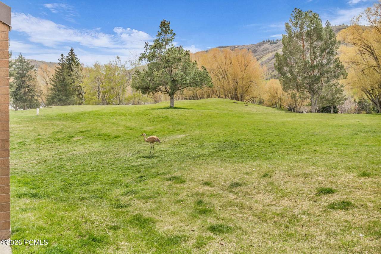 https://bt-photos.global.ssl.fastly.net/parkcity/1280_boomver_1_12601705-2.jpg