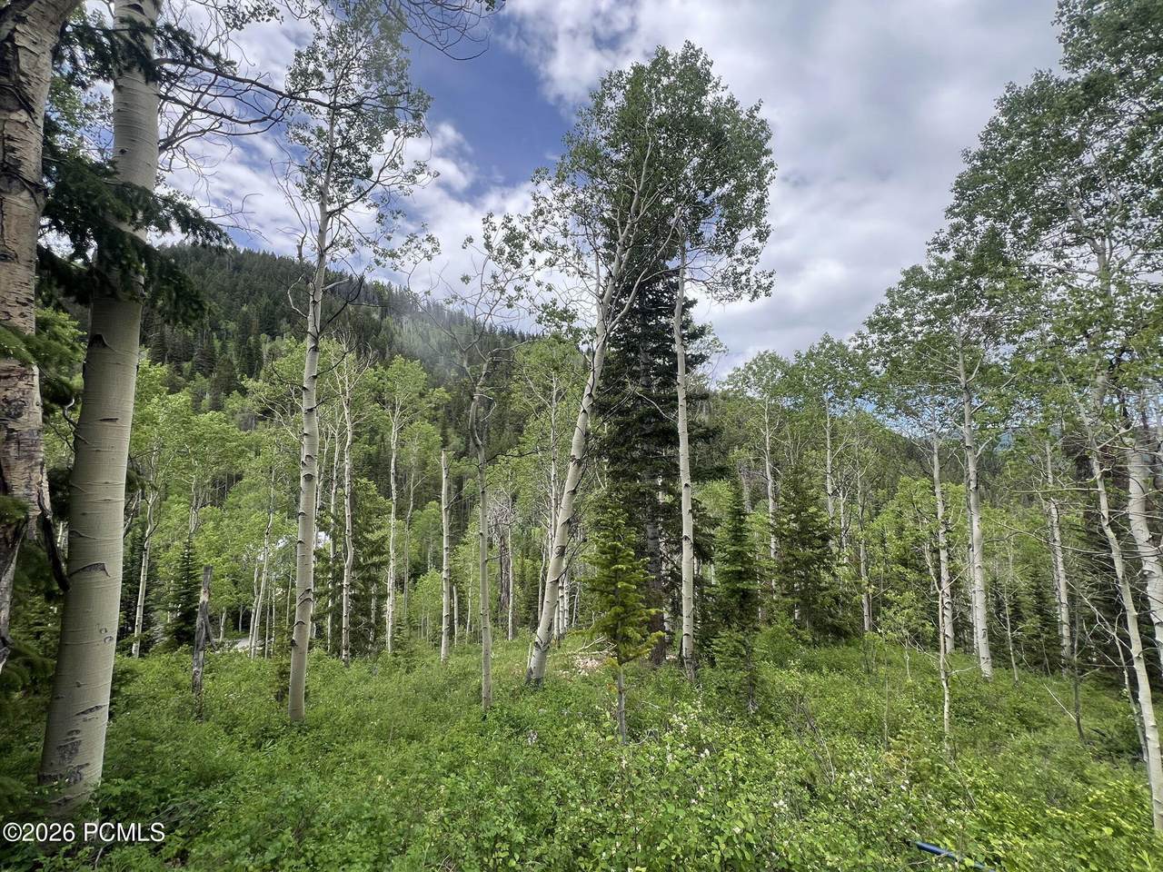 https://bt-photos.global.ssl.fastly.net/parkcity/1280_boomver_1_12601741-2.jpg