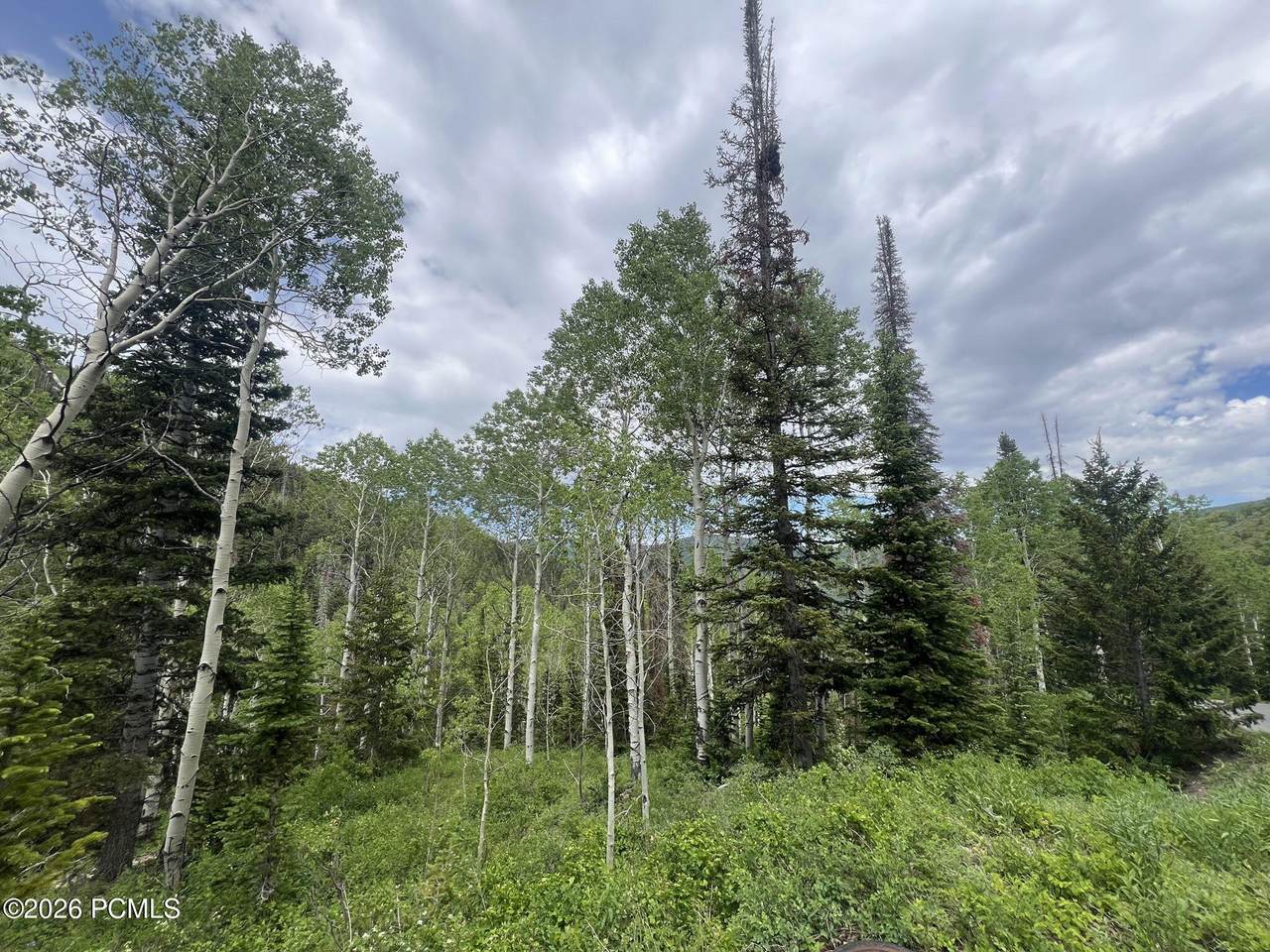 https://bt-photos.global.ssl.fastly.net/parkcity/1280_boomver_1_12601741-2.jpg